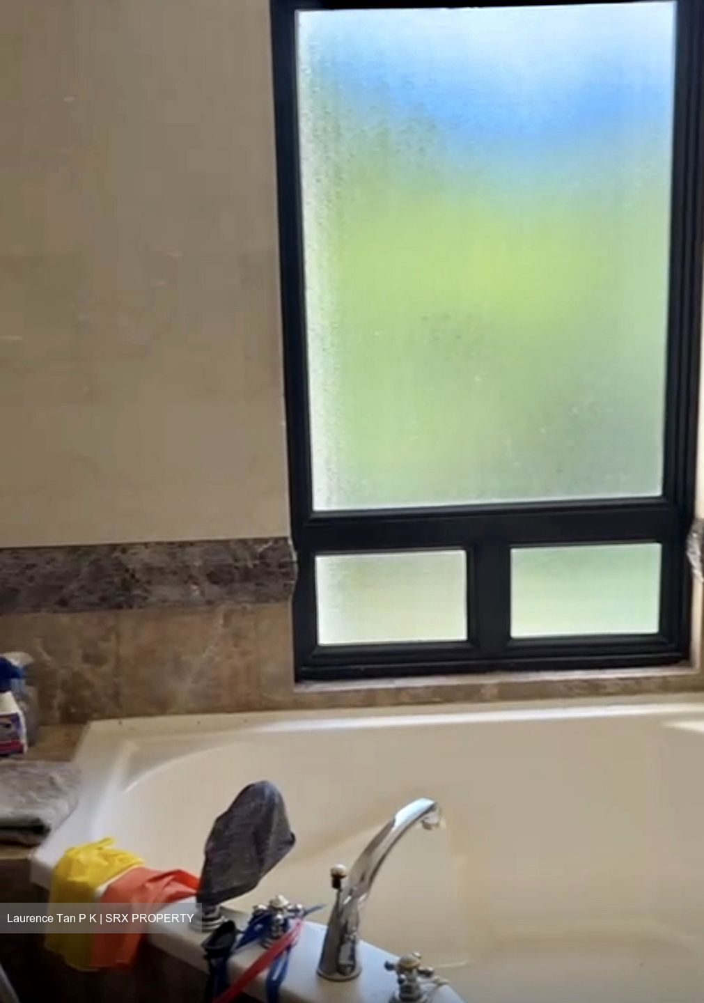 The Sterling (D21), Condominium #500148951